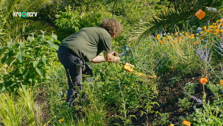 Dr. Dierentuin